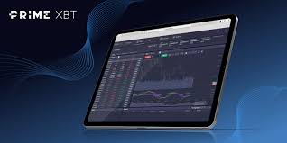 Understanding the Terms and Conditions of PrimeXBT 0