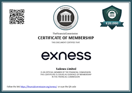 Comprehensive Overview of Exness Group A Leader in Online Trading