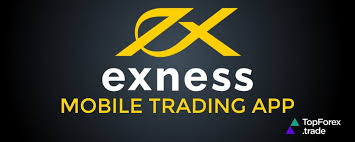 How to Optimize Your Live Exness Metatrader 5 Account for Effective Trading